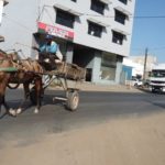 calèche sur le boulevard